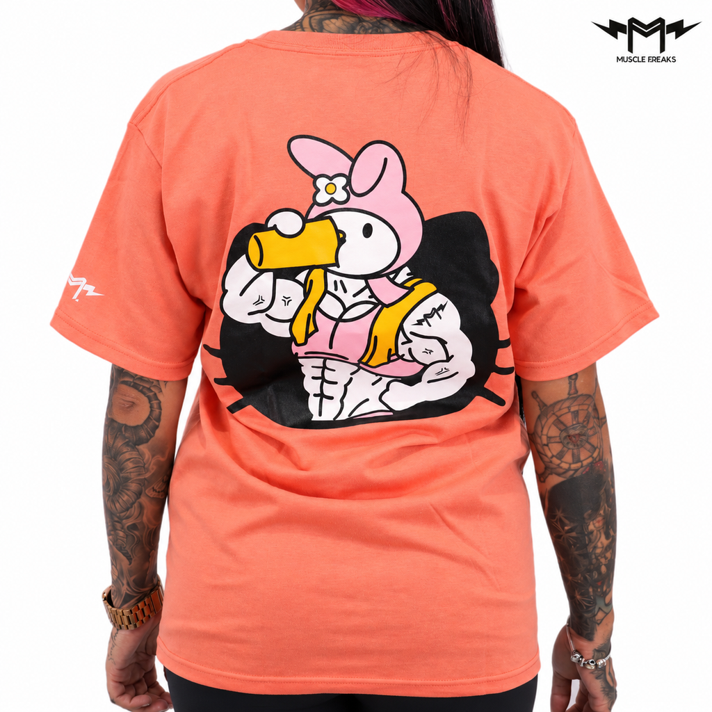 PLAYERA MY MELODY